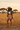 African Savanna