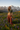 Alpine Meadow