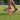 Alppeer Tombo Shoes Agility Close-up
