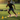 Alppeer Tombo Shoes Agility Drills