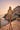 Amalfi