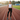Athletic Performance Look