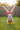Backyard Cartwheel