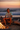 Beach Bonfire