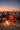 Beach Bonfire