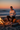 Beach Bonfire