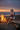 Beach Bonfire
