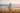 Beach surfboard portrait