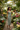 Botanical Garden