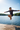 Boy Jumping into Lake
