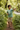 Boy on Nature Trail