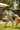 Boy Playing with Dog