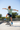 Boy Skateboarding