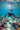 Boy Snorkeling