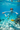 Boy Swimming Underwater