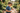 Child in garden