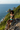 Cliff Overlook