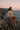 Cliff's Edge Reverie