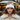 Close-Up Parisian Café