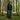 Forest/Nature