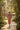 Garden Path Look
