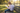Girl reading on park bench