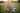 Girl sitting with baseball equipment