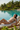 Infinity Pool