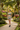 Latina Resort Garden