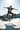 Look 1 – Black Skate Park