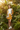 Look 1 – Botanical Garden