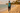 Look 1 – Tropical Walk