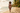Look 1 – Tropical Walk