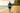 Look 1 – Tropical Walk