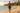 Look 1 – Tropical Walk
