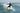 Look 2 – Surf Session