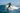 Look 3 – Surf Session
