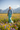 Look 3 – Wildflower Meadow