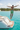 Look 3 – Yacht Dive