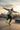 Look 4 - Rooftop Skate Park