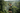 Look 4 – Zip-Line