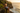 Look 6 – Cliff Overlook