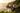 Look 6 – Cliff Overlook