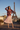 Look 6 – Eiffel Tower Rooftop