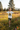 Look 6 – White Meadow
