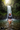 Look 7 – Tropical Waterfall