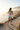 Look 8 – Coastal Morning Run, Back