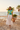 Midi Skirt Beach