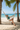 Palm Hammock