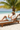 Palm Tree Lounge